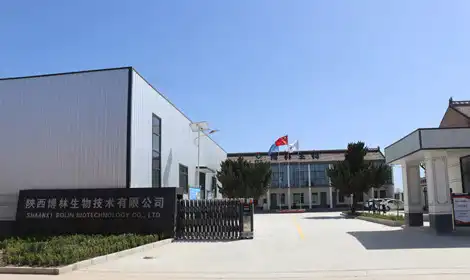 How to Choose a Reliable Spermidine Hydrochloride Manufacturer?
